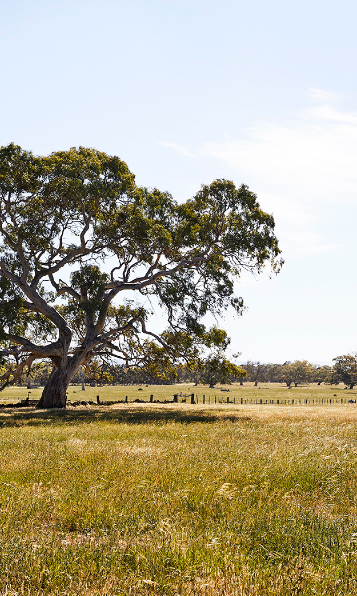 Building Your Future