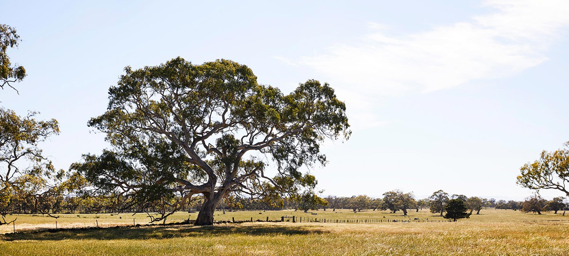 Building Your Future