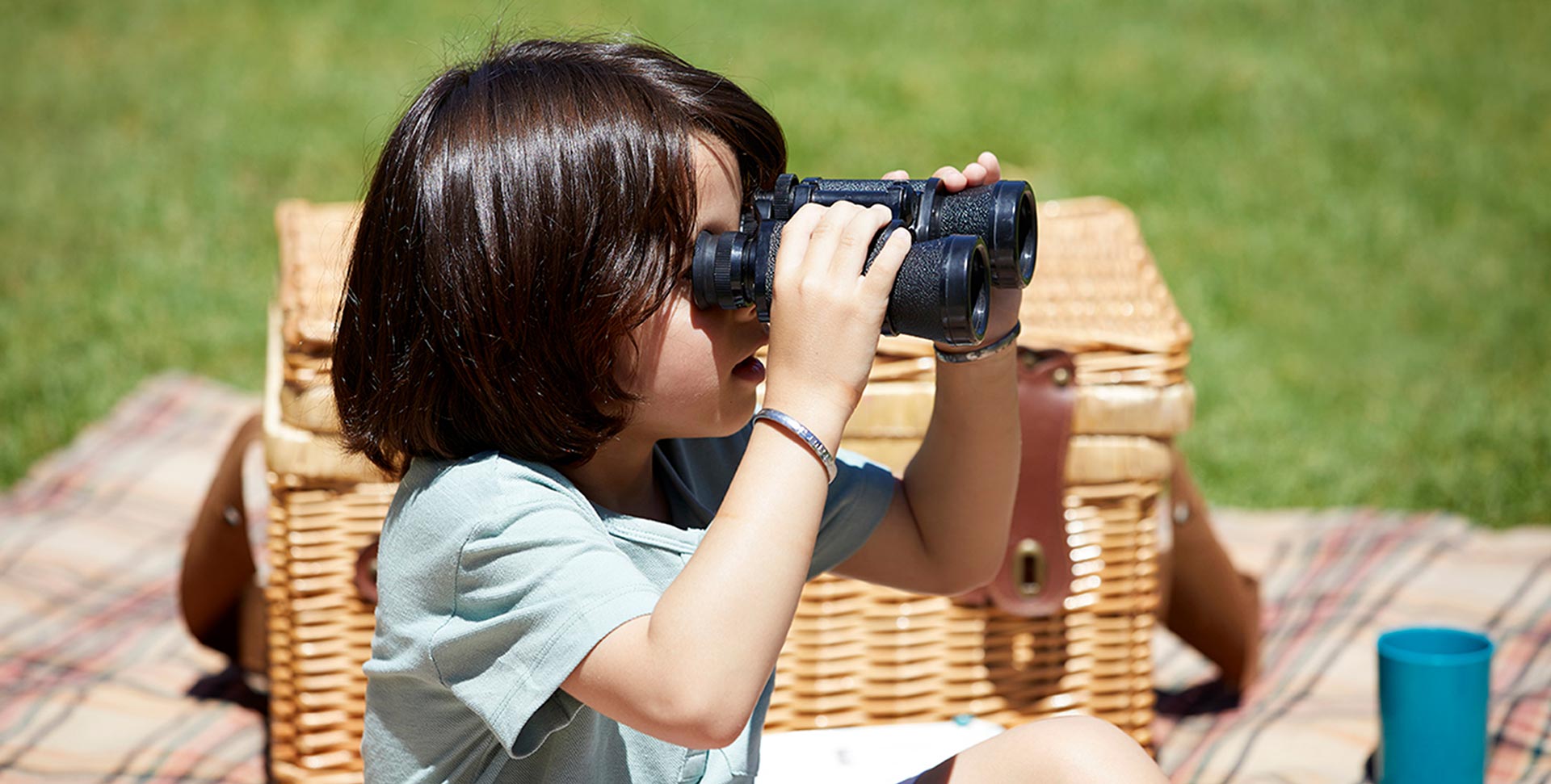 Follow your lot’s progress.